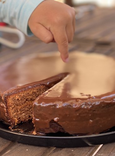 SACHEROVA TORTA